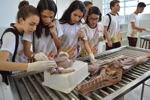 Laboratório de Anatomia da Universidade Ceuma despertou interesse nos secundaristas do CEFRAN