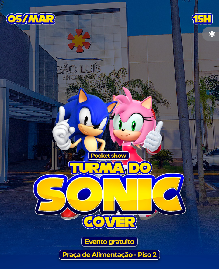 A turma do Sonic: A turma do Sonic